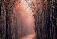 屠杀！快船132-100篮网，谁是本场比赛的功臣，数据不会说谎！.