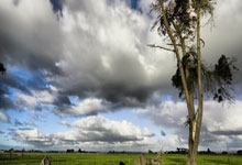 B体育：B席晒葡萄牙百场纪念球衣：无比自豪和开心，感谢球迷的支持.