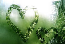 莫斯卡多：梦想是为大巴黎效力，参加欧冠并入选巴西国家队.