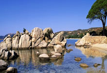 B体育：竞者 ｜ 中国跳水史上奥运首金得主官宣退休，曾因开除田亮饱受争议.